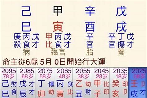 戊戌日主|八字干支解读——戊戌：不屈土魁罡，撞破南墙又何妨？